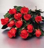 roses.jpg