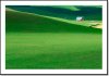 red_barn_green_field_2_large.jpg