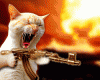 meo ban.gif