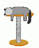 katzen101.gif