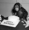 Happy Birthday.jpg