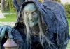 images802125_HalloweenDecorations1.jpg
