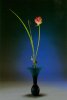 ikebana3.jpg