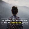 bo-phi-4-nam-dai-hoc.jpg