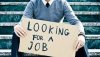 looking fo a job.jpg