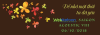 Banner Acoustic VIII.png