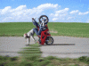 image001.gif