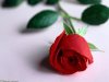 5552_Flowers_Delivery_London__and__UK1024_768.jpg