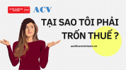 TẠI SAO TÔI PHẢI TRỐN THUẾ.png TẠI SAO TÔI PHẢI TRỐN THUẾ.png