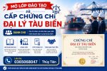 đại lý tàu biển.jpg