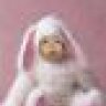 chuot trang