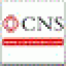 cnsvietnam