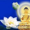 phamthuongtin