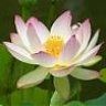 NguyenThiMyLien