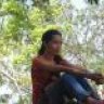 hoami281083