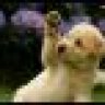 thuydo200591