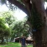 trung512