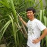 hoanglongvai