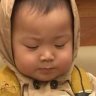 mọt mọt