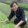 nắng có còn xuân