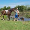 Jovial HorseMan