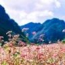 Luti Phạm