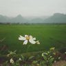 TrangTrang11
