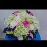 hana06091989