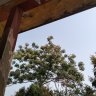 _hy.iaen_