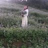 thuthuy7884