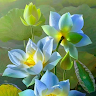 Tuyet Huynh 91