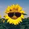 T.T.T.THỦY
