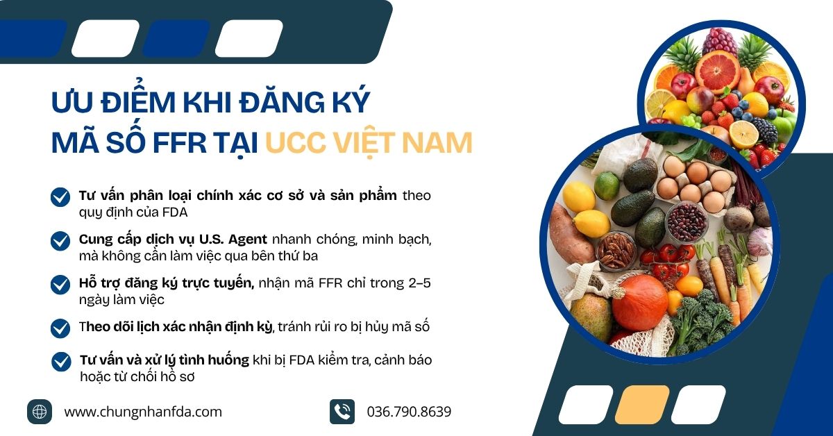 Liên hệ ngay với UCC Việt Nam để được chuyên gia hỗ trợ trực tiếp