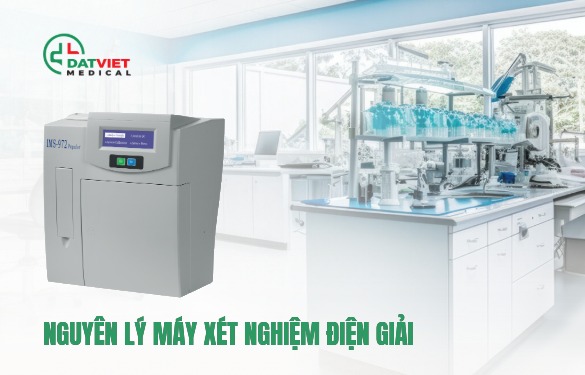 nguyen-ly-may-xet-nghiem-dien-giai.jpeg