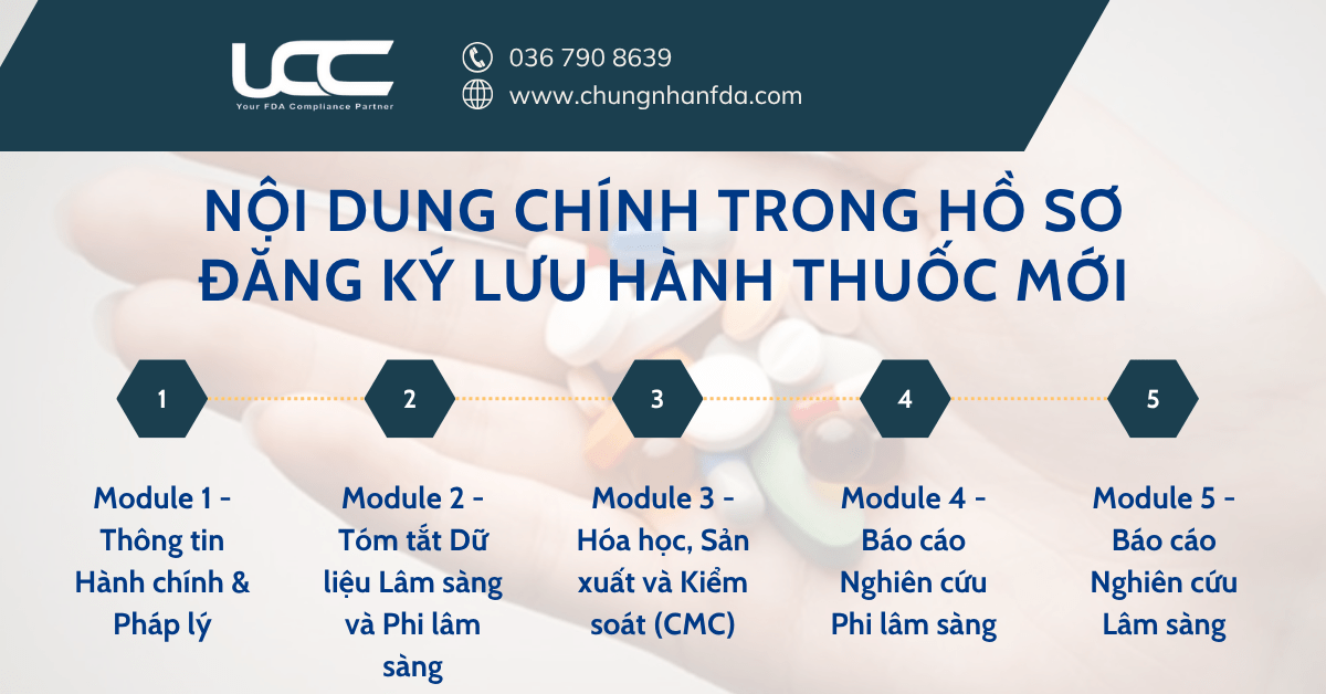 Nội dung chính trong hồ sơ NDA