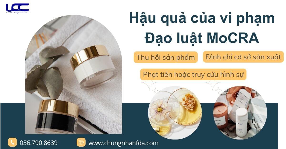 Hậu quả của vi phạm Đạo luật MoCRA