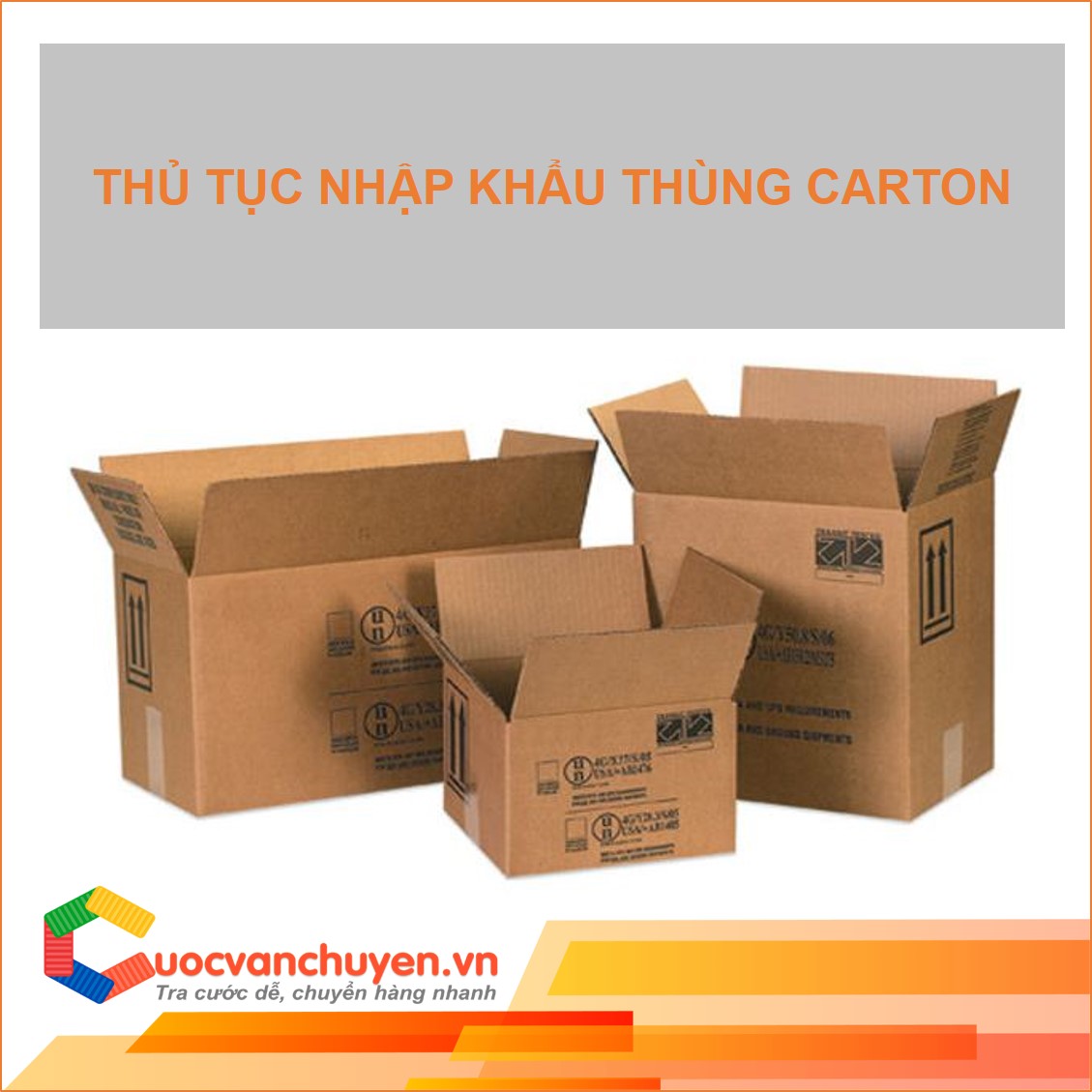 THU_TUC_NHAP_KHAU_THUNG_CARTON.jpg