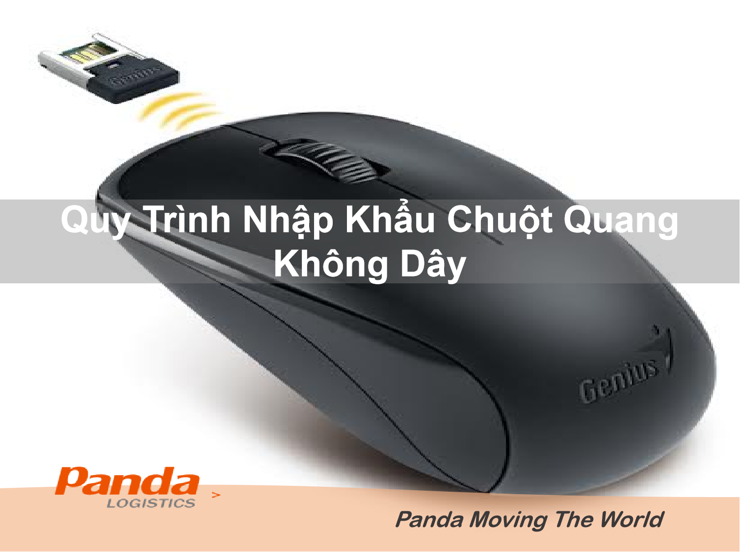 quy-trinh-nhap-khau-chuot-quang-khong-day-8305.png