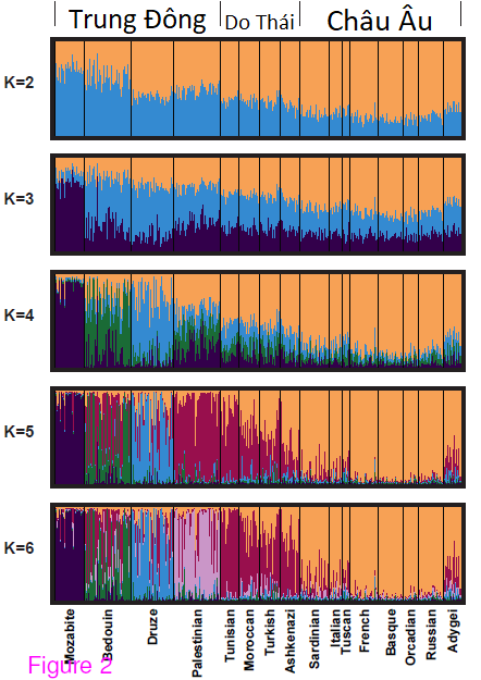 jews%2Bdna.png