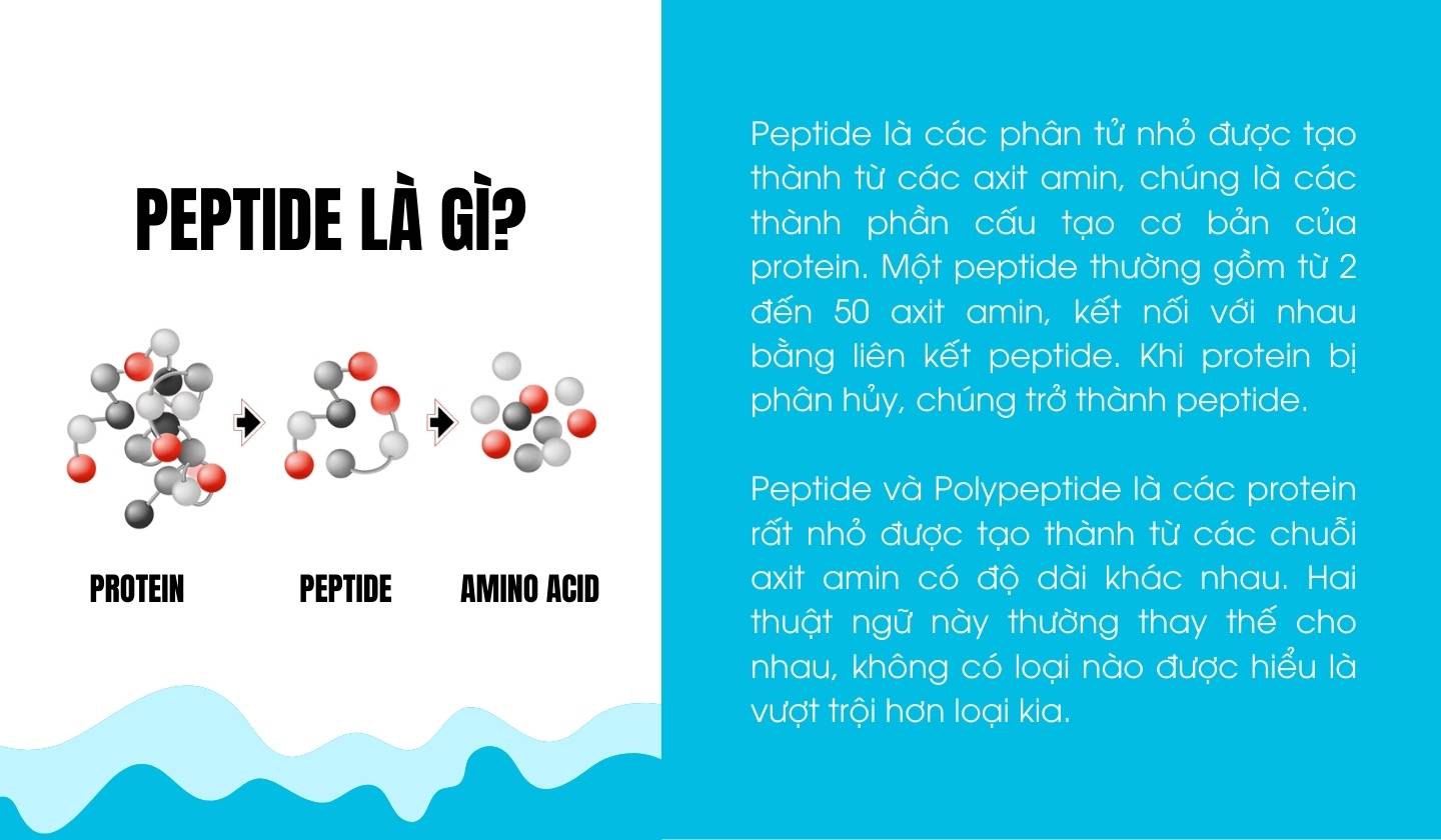 peptide-la-gi.jpg