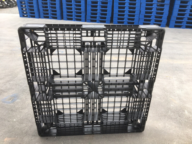 Pallet nhựa xuất khẩu