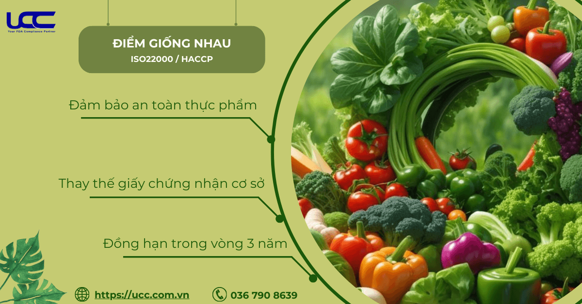 Điểm giống nhau HACCP và ISO 22000