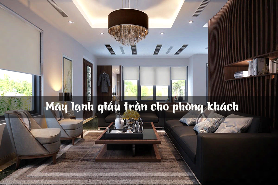 may-lanh-giau-tran-cho-cho-can-ho.png