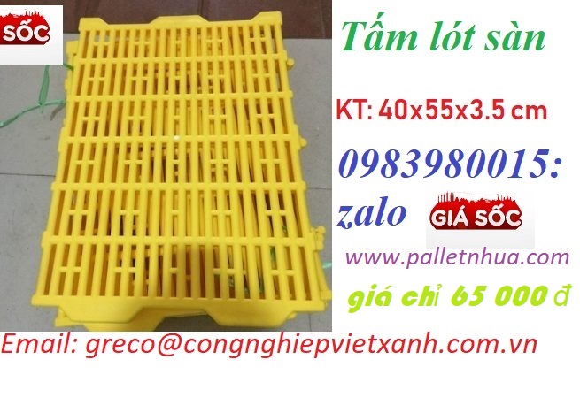 Kích thước pallet nhựa