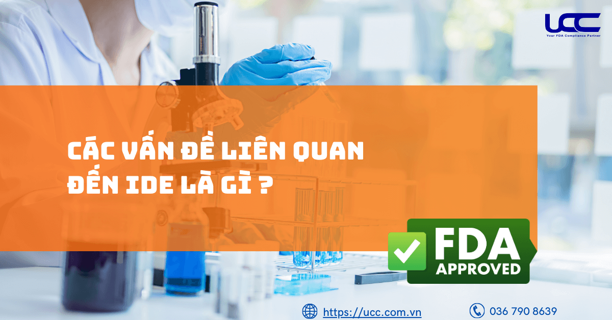 Vấn đề liên quan IDE là gì?