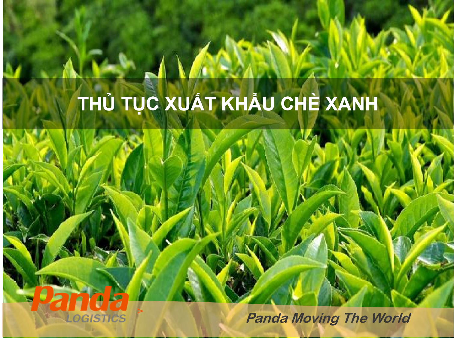 thu-tuc-xuat-khau-che-xanh-7613.png