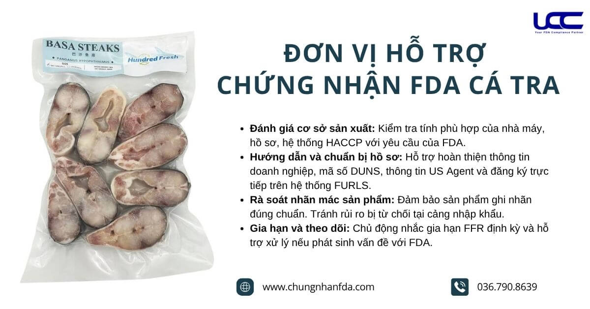 Dịch vụ hỗ trợ của UCC Việt Nam