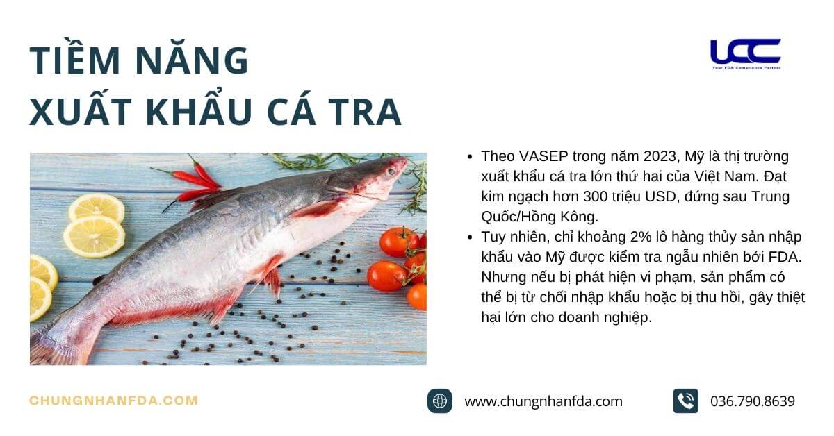 Tiềm năng xuất khẩu của cá tra Việt Nam