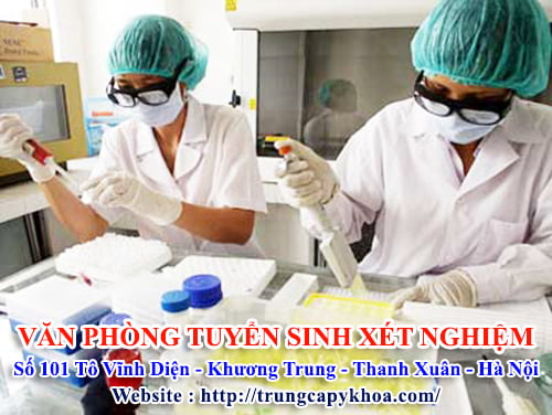 van-phong-tuyen-sinh-lien-thong-xet-nghiem.jpg