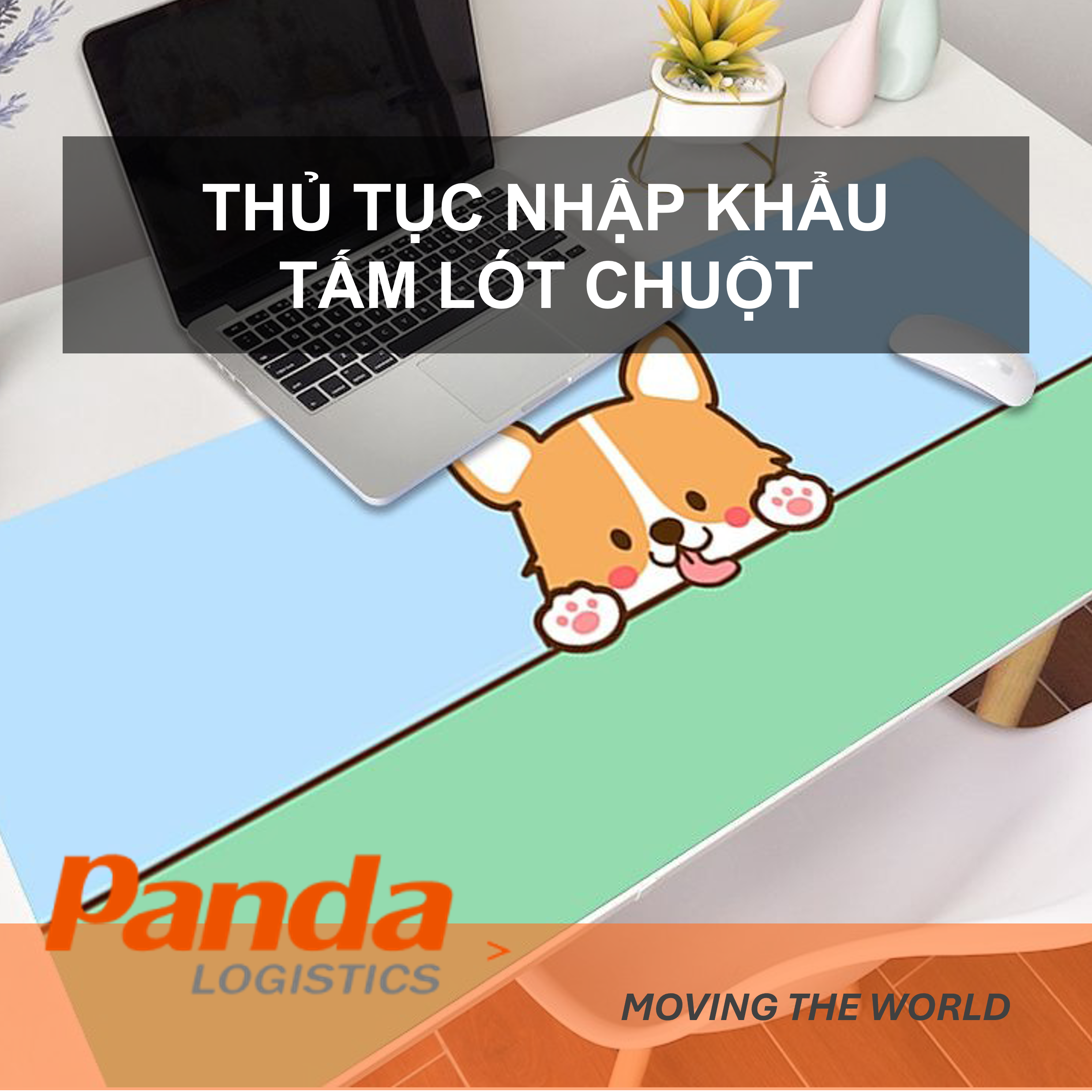 thu-tuc-nhap-khau-tam-lot-chuot.png
